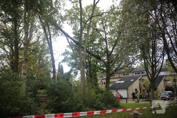 Deel van boom breekt af na storm