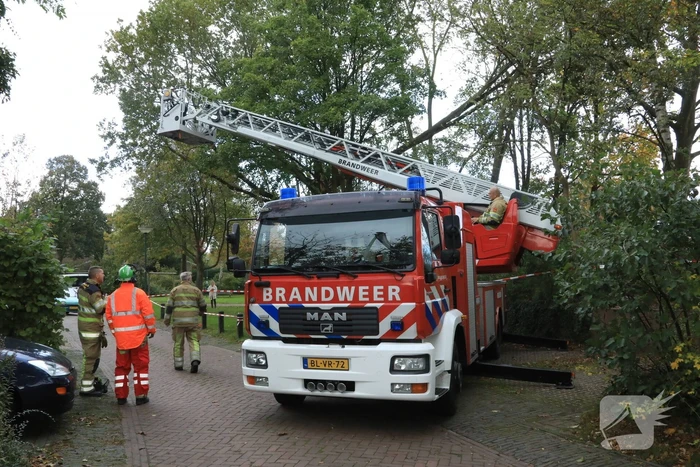 Deel van boom breekt af na storm