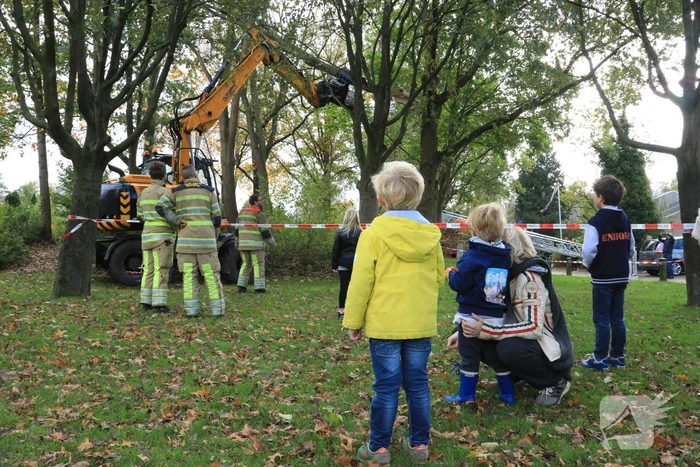 Deel van boom breekt af na storm