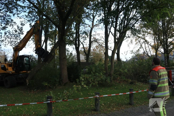 Deel van boom breekt af na storm
