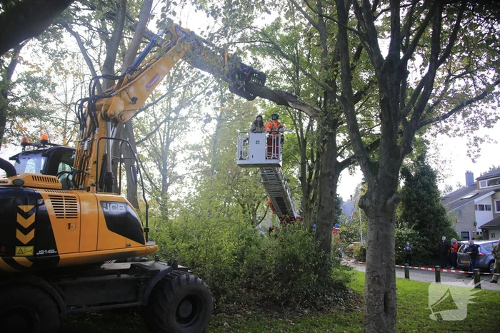 nieuws krooneend leusden
