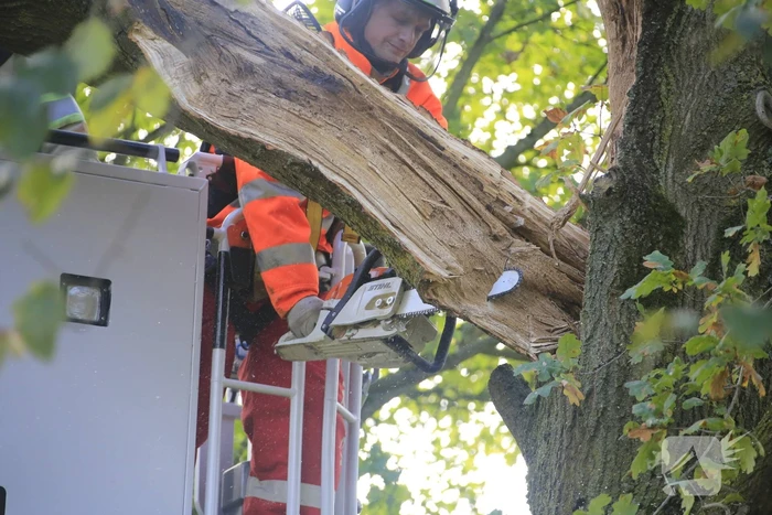 Deel van boom breekt af na storm