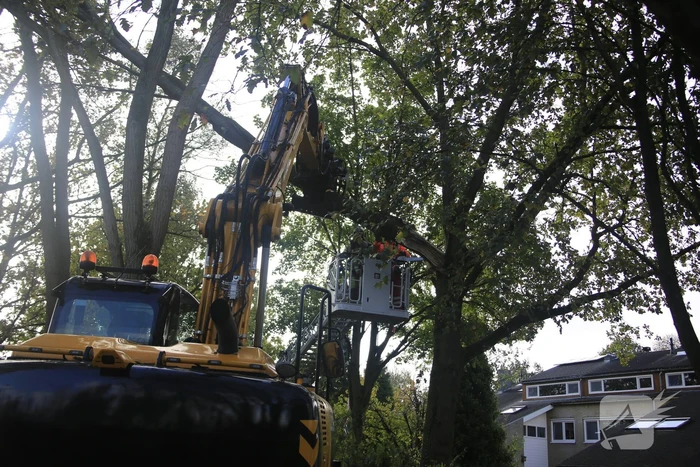 Deel van boom breekt af na storm