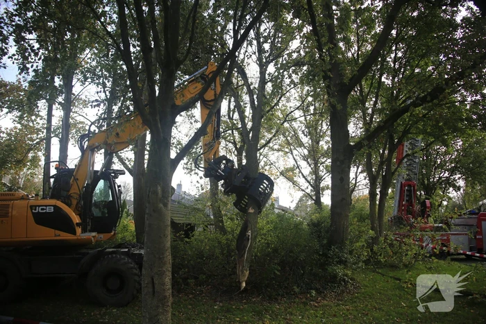 Deel van boom breekt af na storm