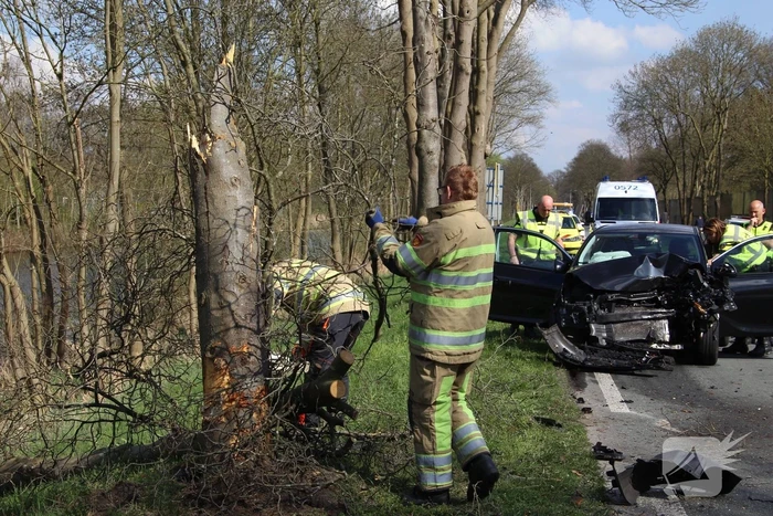 Auto frontaal tegen boom bestuurster zwaargewond