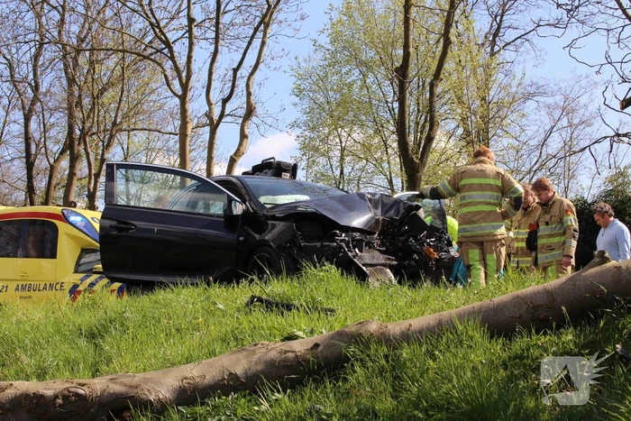 Auto frontaal tegen boom bestuurster zwaargewond
