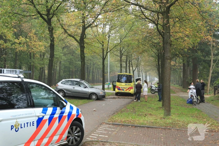 Automobilist gewond na botsing tegen boom