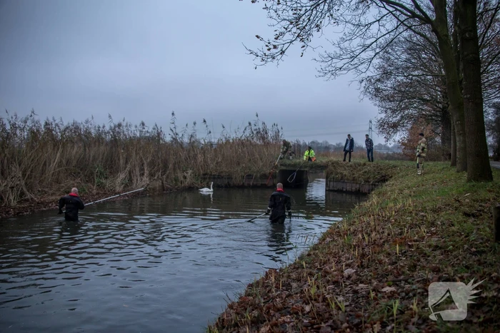 Brandweer en Dierenzorg Eemland redden gewonde zwaan