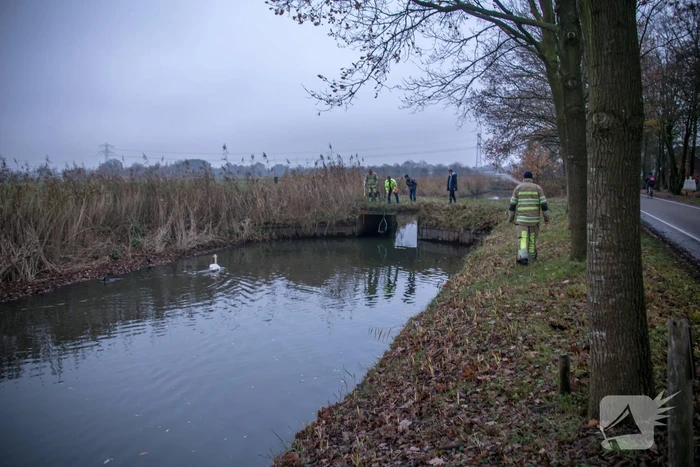 Brandweer en Dierenzorg Eemland redden gewonde zwaan