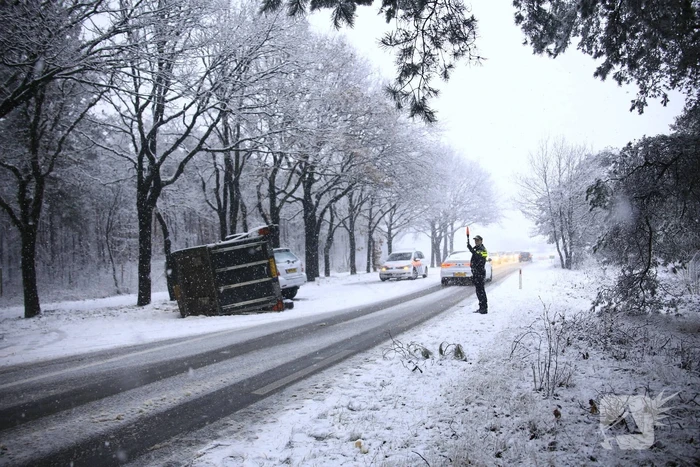 Auto met paardentrailer crasht