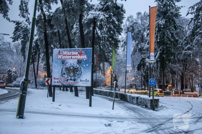Dierenpark sluit eerder deuren door hevige sneeuwval