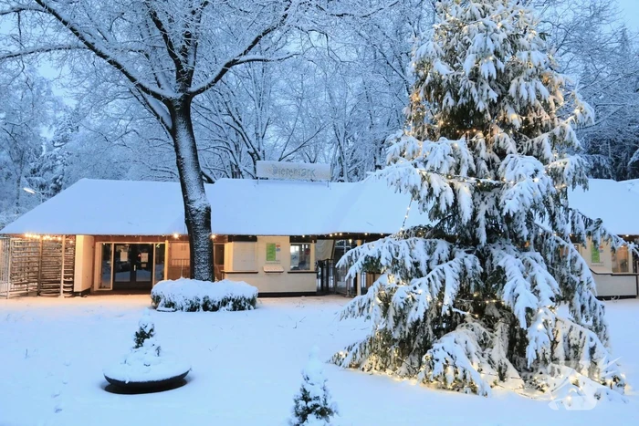 Dierenpark sluit eerder deuren door hevige sneeuwval