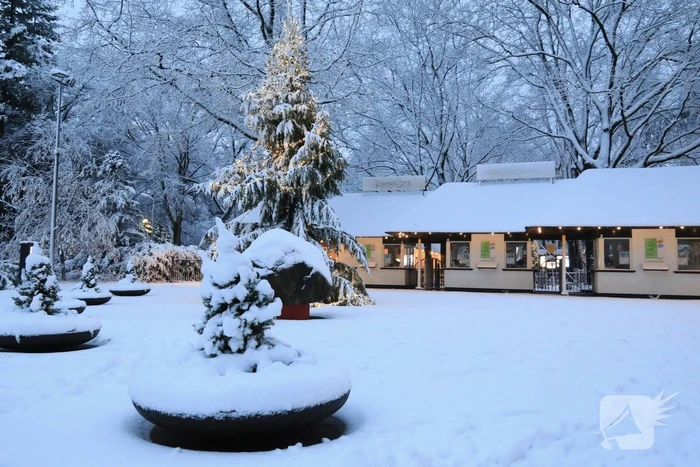 Dierenpark sluit eerder deuren door hevige sneeuwval