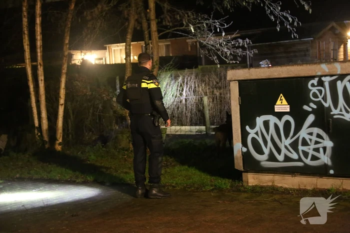 17-jarige kassamedewerker geslagen met wapen bij overval op Boni supermarkt