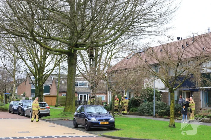 Brandweer verwijderd gevaarlijk hangende takken