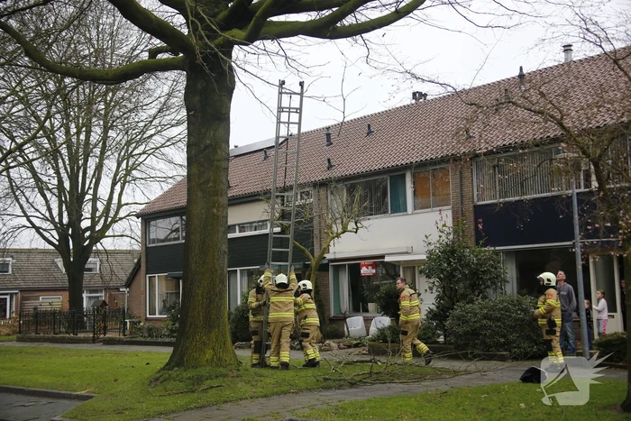 Brandweer verwijderd gevaarlijk hangende takken
