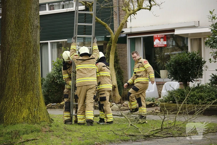 Brandweer verwijderd gevaarlijk hangende takken