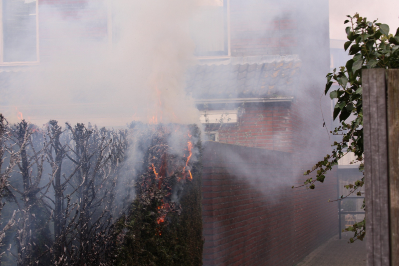Brandweer blust brandende coniferenhaag