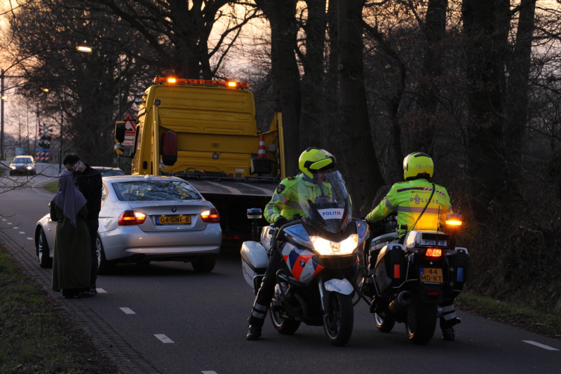 Auto beschadigd na aanrijding met ree