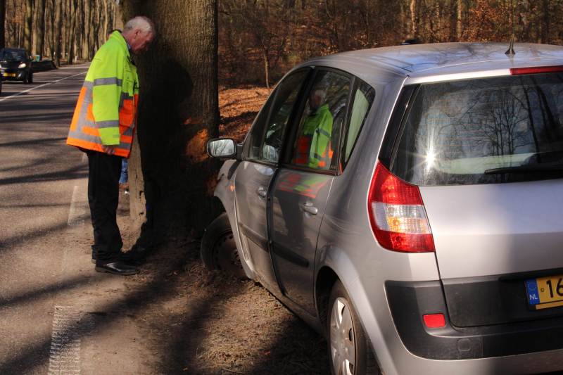 Auto tegen boom, bestuurder gewond