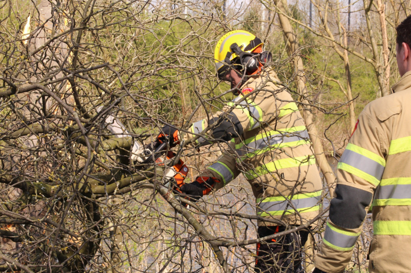 Auto frontaal tegen boom bestuurster zwaargewond