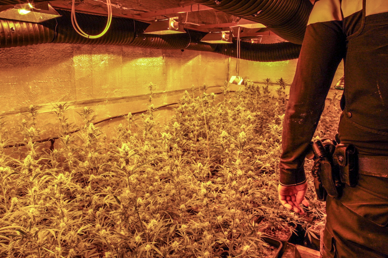 Ondergronds hennepkwekerij ontmanteld