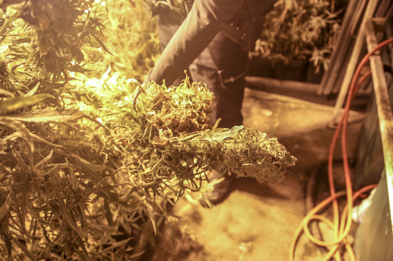 Ondergronds hennepkwekerij ontmanteld