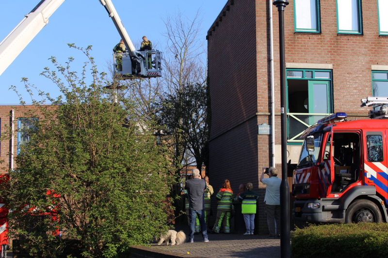 Brandweer bevrijdt ekster uit hoge boom