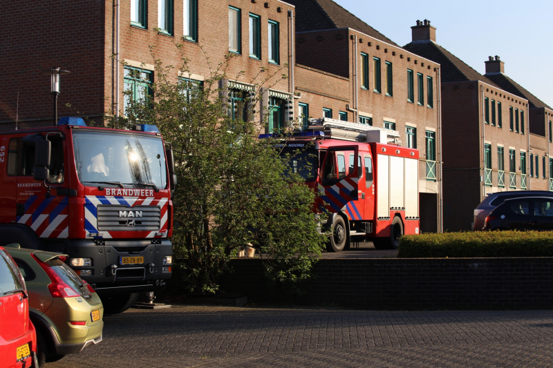 Brandweer bevrijdt ekster uit hoge boom