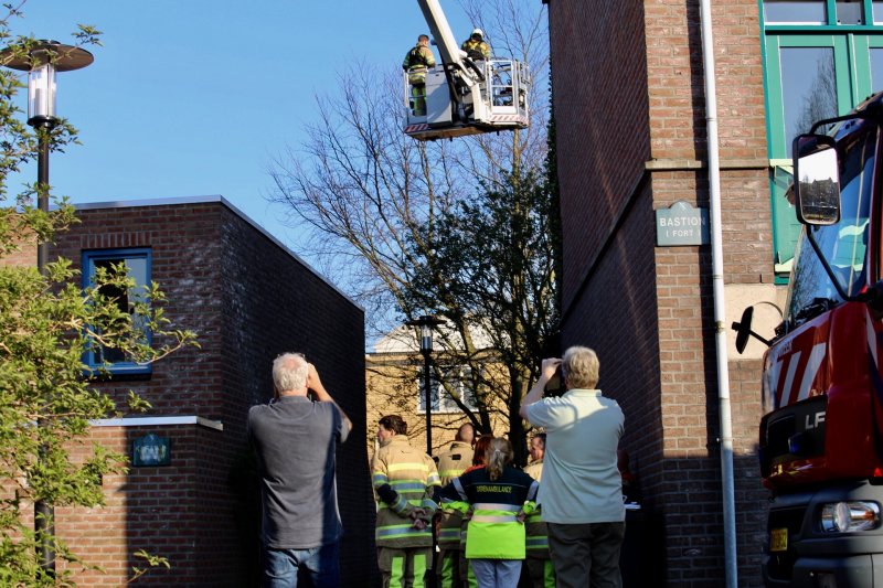 Brandweer bevrijdt ekster uit hoge boom