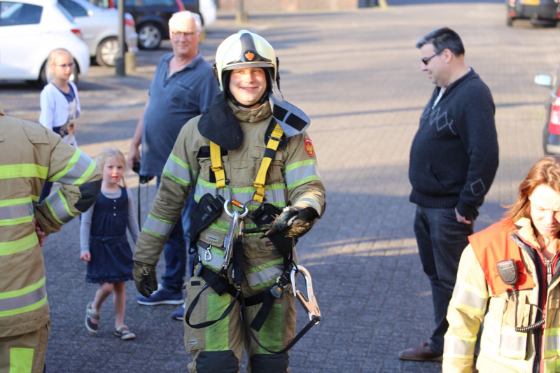 Brandweer bevrijdt ekster uit hoge boom