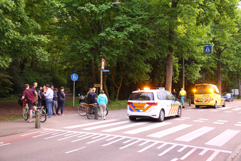 Auto botst frontaal op boom