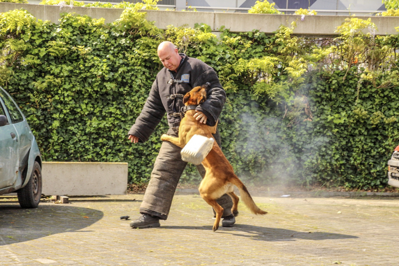 Burgemeester opent veilgheidsdag