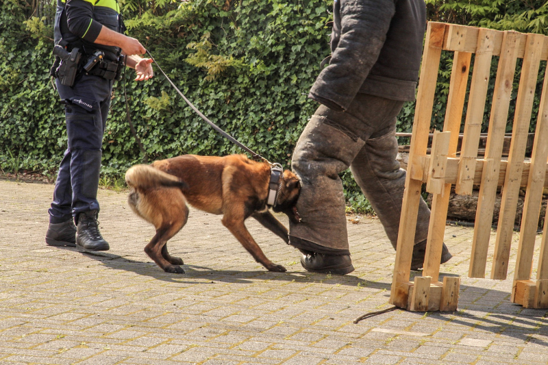 Burgemeester opent veilgheidsdag