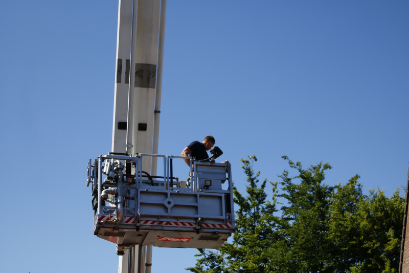 Vogel vast onder dakpan