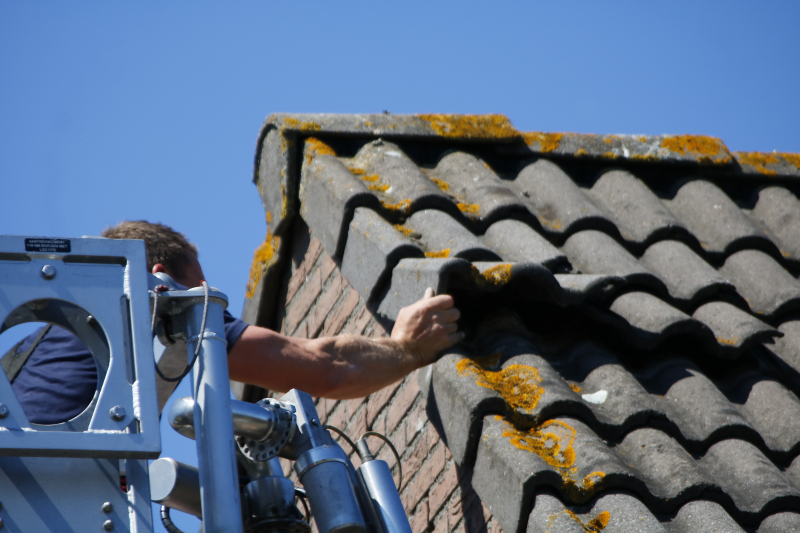 Vogel vast onder dakpan