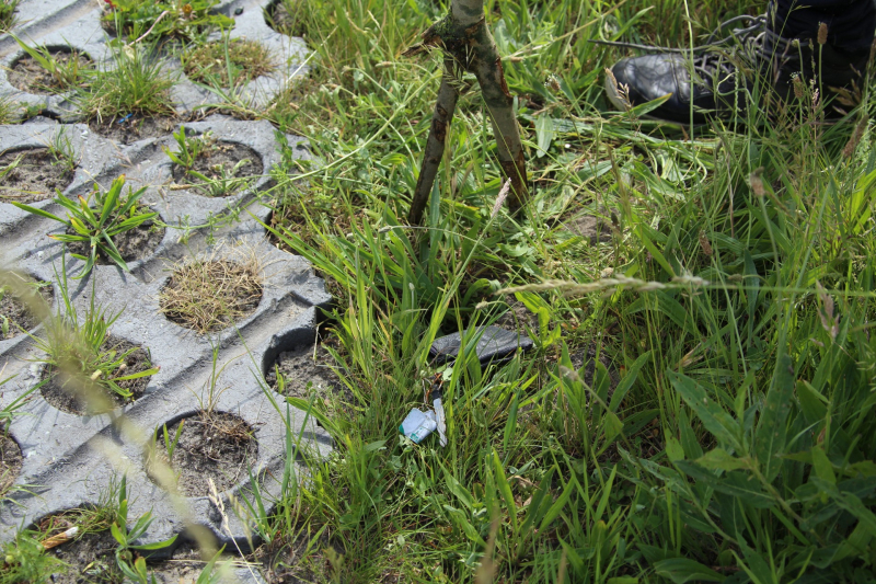 Grote zoektocht naar vermiste Savannah