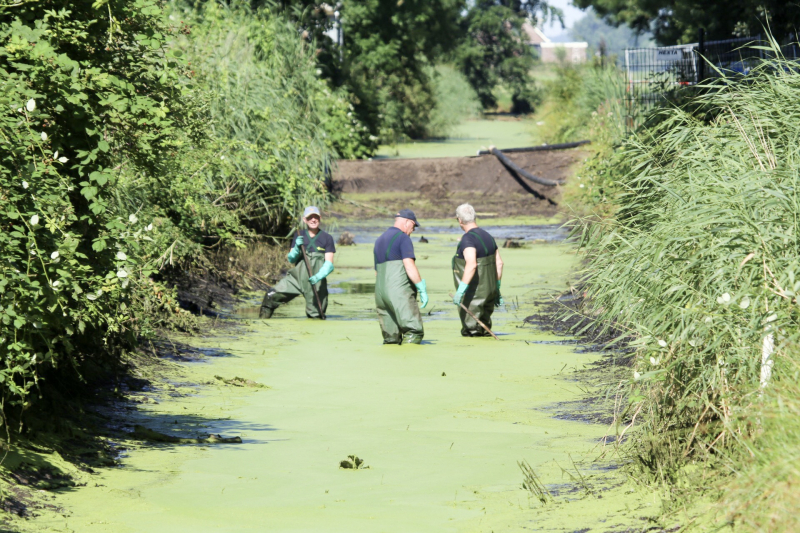 Onderzoek gestart in drooggelegde sloot