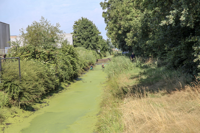 Onderzoek gestart in drooggelegde sloot