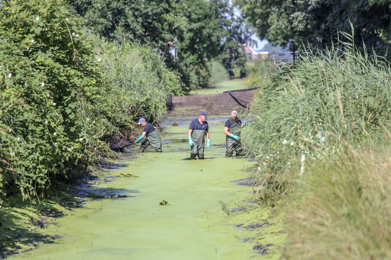 Onderzoek gestart in drooggelegde sloot