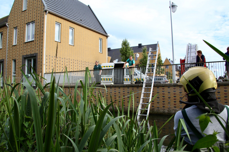 Jonge zwaan vast met dobber en vishaak