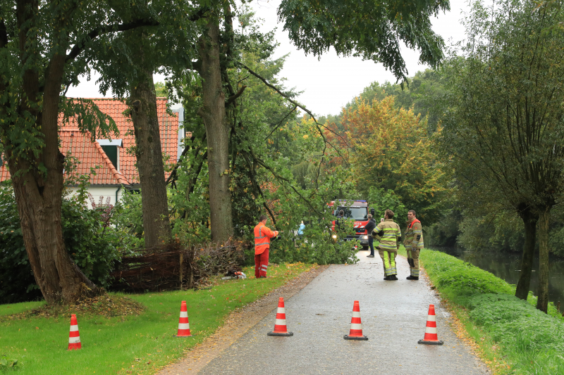 Weg afgesloten door vallende takken