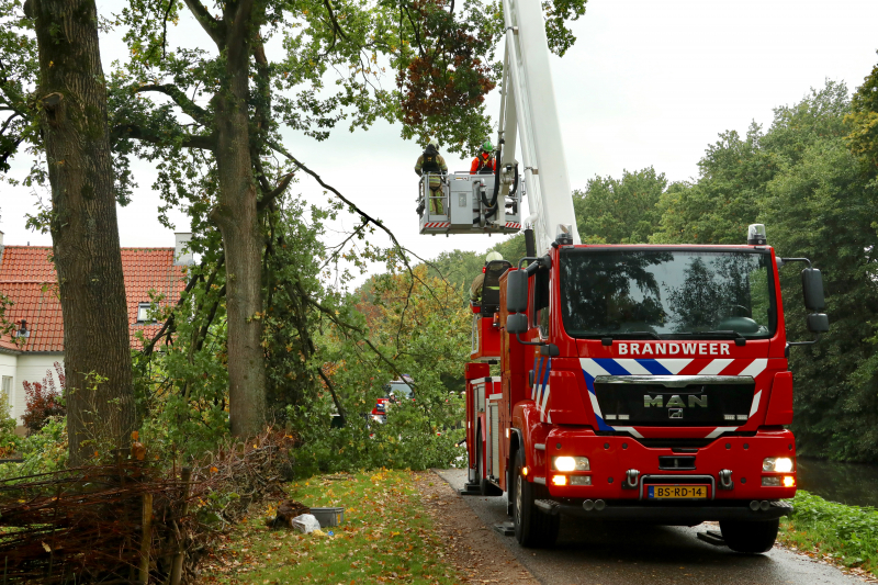 Weg afgesloten door vallende takken