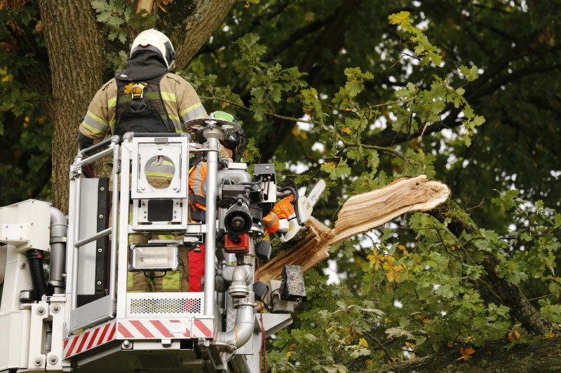 Weg afgesloten door vallende takken