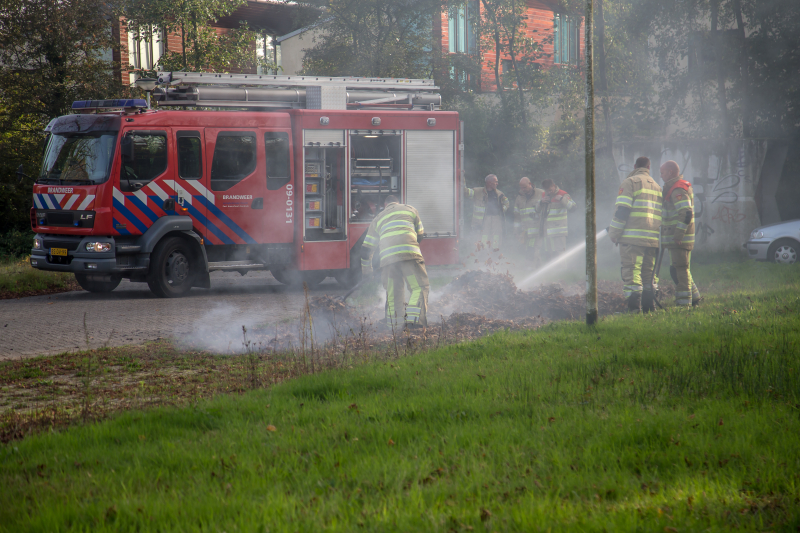 Flinke rook bij bladeren-brand