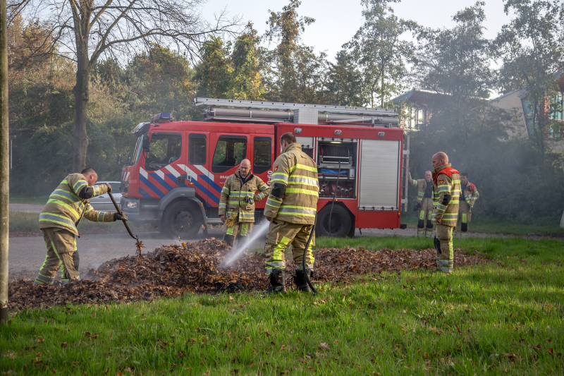 Flinke rook bij bladeren-brand