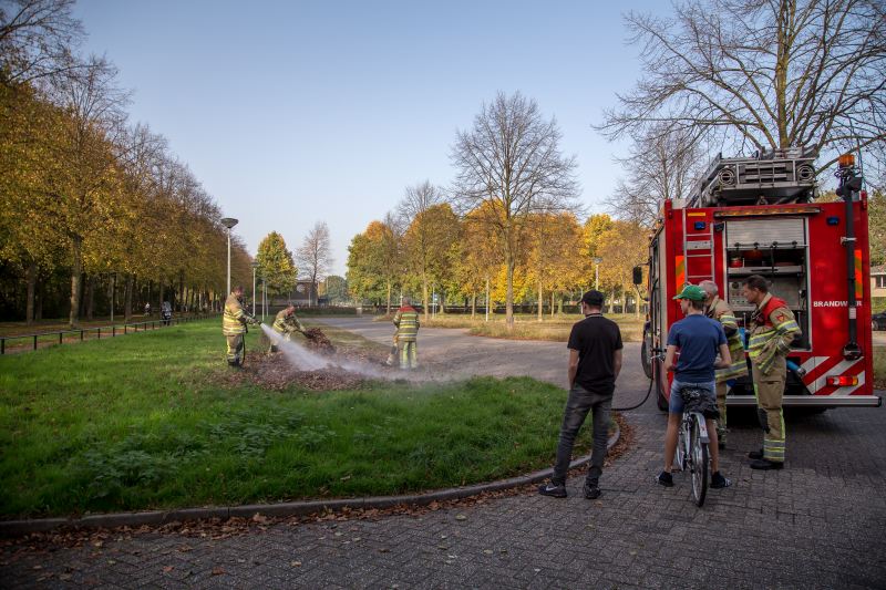 Flinke rook bij bladeren-brand