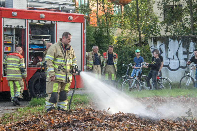 Flinke rook bij bladeren-brand