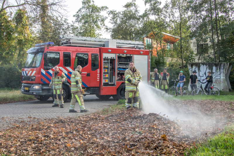 Flinke rook bij bladeren-brand