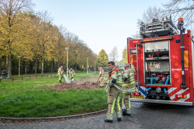 Flinke rook bij bladeren-brand
